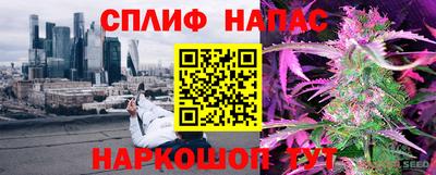 молекула духа Донской