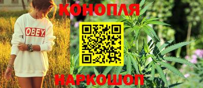 молекула духа Донской