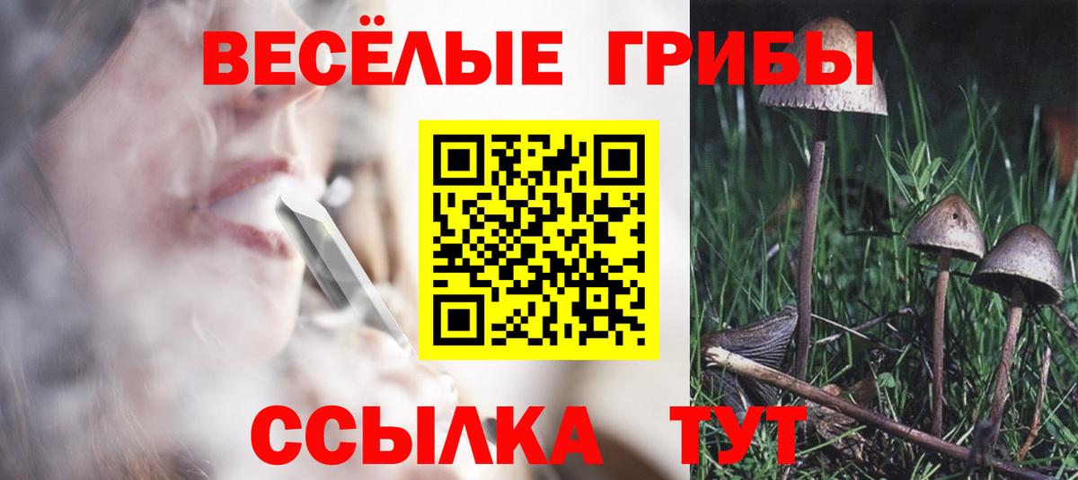 Галлюциногенные грибы Psilocybe  Вход с VPN  Гусев 